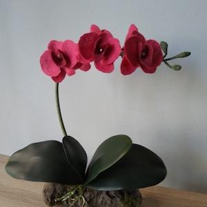 Beautiful Hot Pink Phalaenopsis Orchid In Wood - Realistic Phalaenopsis - Forever Blossom - For Home Decoration - For Your Office