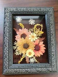 Pressed in Glass Ornate Framed Dried Flowers Picture 5"x7" Excellent Condition