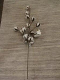 Artificial Dried Cotton Stems -Lot of 12 Stems - 30" Inch Farmhouse Display