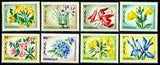 Mongolia 1966 flowers, blumen, lily, almond, bluebeard, iris, Mi. 435, MNH