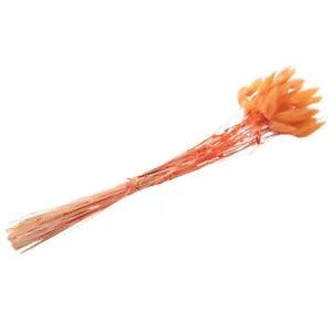 60Pcs Bunny Dried Flowers for Dried Floral (Orange) C6Z9h