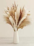 Natural Dried Pampas Grass Bouquet, 60 Pcs Dried Reed Flowers, Boho Home 60pcs