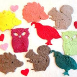 50+ Flower Seed Paper Squirrels Owls Quail Hedgehogs Confetti - Plantable Paper Woodland Animals
