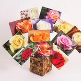 Romantic Rose Bouquet Postcards | A Boxed Set of 12 Different 4x6 Floral Postcards | A Gift for All Special Occasions
