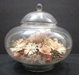 Vintage Terrarium  Apothecary Glass Dome w/ Dried Daisy Flowers Sealed