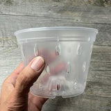 5??? clear orchid pot with holes, Clear plastic pot, Plastic flower pot for orchids, Clear round pot for orchids