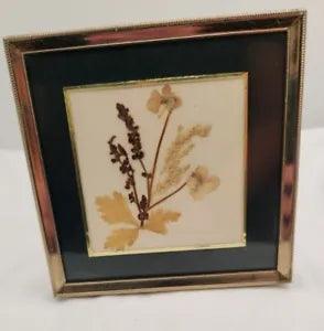 Vintage Small Gold Framed Pressed Dried Flowers Art 4.5" Green Border