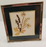 Vintage Small Gold Framed Pressed Dried Flowers Art 4.5