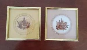 Set of Two Marobella Originals Framed Pressed Dried Flower 5 1/2"??5 1/2"U.S.A.W