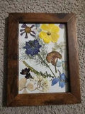 Framed Pressed Flowers  Handmade Collage 5"??7"Ranunculus Nigera Hydrangea i