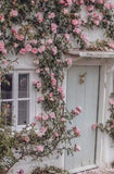 Rachel Ashwell: Pretty Blue Shabby Chic Vintage Style Inspiration - Hello Lovely Flower Delivery