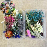 1Box Real Dried Flowers Jewellery For DIY Making Pendant Art Epoxy Resin Craft