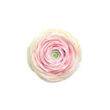 Peony car aromatherapy air conditioning outlet decoration fragrant flowers