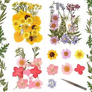 LASOFAMERE 63Pcs Real Dried Pressed Flowers