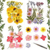 LASOFAMERE 63Pcs Real Dried Pressed Flowers