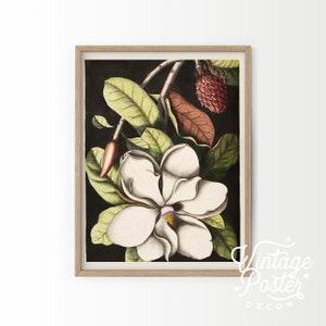 Spring Wall Decor, Floral Print, Vintage Flower Art, Plants Wall Decor, Leaf Wall Art, Green Garden Print, Gift for her, Antique Flower -59