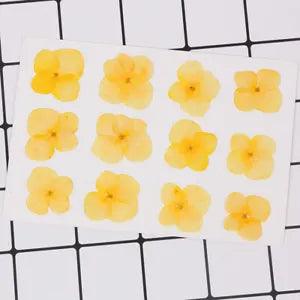 12PCS real Pressed dry hydrangea Flower, 13 colors flower for art craft FCD07 #2