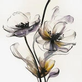 Thin Petals