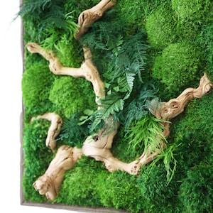 Artisan Moss? 18 x 18" Plant Painting?- Sandwood Branch Style - No Care Green Moss Wall Art. Real Preserved Plants.