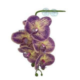 Deluxe Hanging Purple and Yellow Orchid - Realistic Plastic Orchid - Made of Soft Plastic - Easy to Clean Material - Artificial Plants