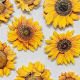 12 3D Sunflower Stickers, each pack contains 12 beautiful 3D stickers
