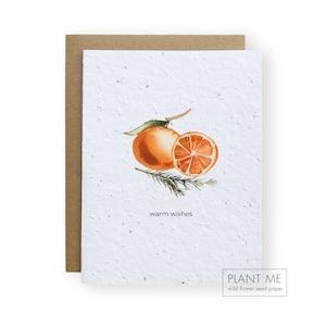 Plantable Holiday or Christmas Card  "Warm Wishes"  -  100% Biodegradable  -  Grow Wild Flowers
