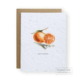 Plantable Holiday or Christmas Card  "Warm Wishes"  -  100% Biodegradable  -  Grow Wild Flowers