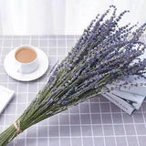 16" Dried Lavender Bundles Natural Dried Lavender Flowers for Home & Weddings
