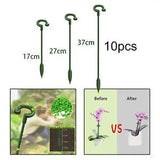 Plant Support Stakes Flower Stand Holder for Peonies Zinnias Succulents