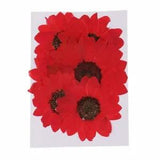 Pressed Natural Dried Sunflower For DIY Resin Ornament Craft Real Flowers Decors
