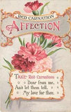 Vintage Postcard Red Carnation Affection Language of Flowers  B  221