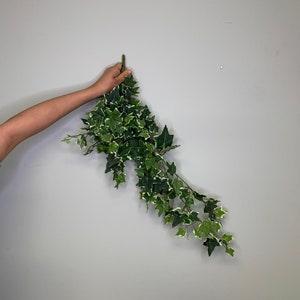24" ENGLISH green and white IVY bushel/ Poets Ivy/ Common Ivy/ Hedera Helix/ Greenery Bushel/ Outdoor Wedding Greenery/Centerpiece Decors