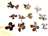 Dogwood Flowers Pink Flattened 12 w/ Yellow Centers Crafts