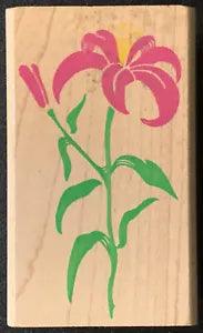 Rubber Stampede Posh Impressions Lavish Lily Flower Rubber Stamp