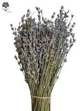 Certified Organic Greek Dried Lavender 1-22 Bunches 32cm | Harvest July 2023