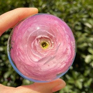 Real Ranunculus Paperweight - Various colors available, Gift for Her, Unique Gift, Mother's Day Gift, Real Flower Gift - READY TO SHIP