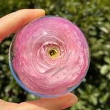 Real Ranunculus Paperweight - Various colors available, Gift for Her, Unique Gift, Mother's Day Gift, Real Flower Gift - READY TO SHIP
