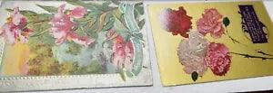 2 Antique Greetings Postcard Florals  Carnations and Iris