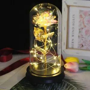 Enchanted Forever Rose Flower In Glass Dome Light LED Decor Valentine's Day Gift