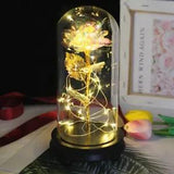 Enchanted Forever Rose Flower In Glass Dome Light LED Decor Valentine's Day Gift
