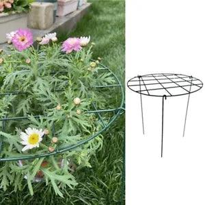 Flower Peony Support Peony Cage Plant Supports Stakes 3 Legs for Outdoor Plant