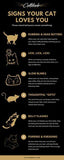 Signs Your Cat Loves You Flower Delivery