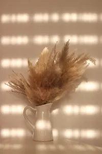 4 Stems fluffy Xlarge natural dried pampas grass decor wedding bunch  boho style
