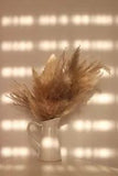 4 Stems fluffy Xlarge natural dried pampas grass decor wedding bunch  boho style