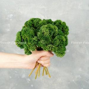 Real Touch Faux Sedum Cluster Stem | Artificial Plant | Wedding/Home Decoration | DIY Project Supplies | Gifts - Green