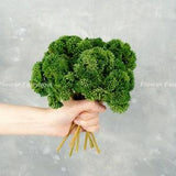 Real Touch Faux Sedum Cluster Stem | Artificial Plant | Wedding/Home Decoration | DIY Project Supplies | Gifts - Green