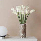 RUZUQE 6 Pcs White Calla Lily Artificial Flowers, 25 Inches Real Touch Long