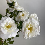 Real Touch Garden Rose Stem - High Quality Artificial Flower / Wedding / DIY Floral / Home Decoration / Gifts / Cream White