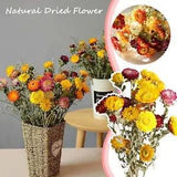 20Natural Dried Flower Daisy Wedding Flower Bouquet Flower Flower Dry C3A5