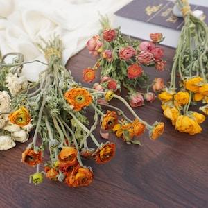 Natural dry Ranunculus asiaticus, dry Peony, wedding flower arrangement, table decoration, home decoration